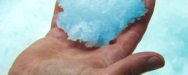 belugatechnologyforpoultryandchickens