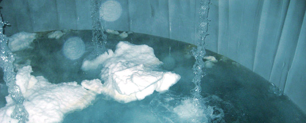 belugatechnologyforpoultryandchickens2